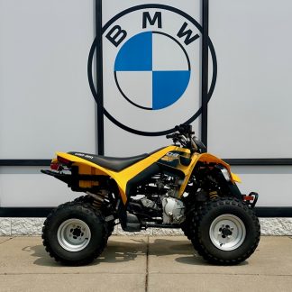2019 Can-Am DS 250