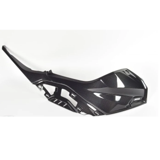 BMW Motorrad M Carbon Tank Trim Right