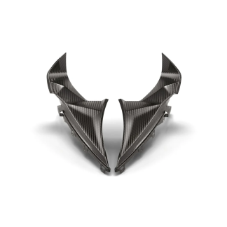 BMW Motorrad M Carbon Upper Side Trim