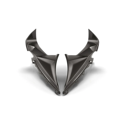 BMW Motorrad M Carbon Upper Side Trim